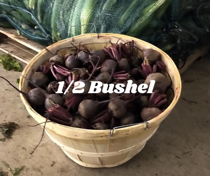 picture of 1/2 bushel of beets